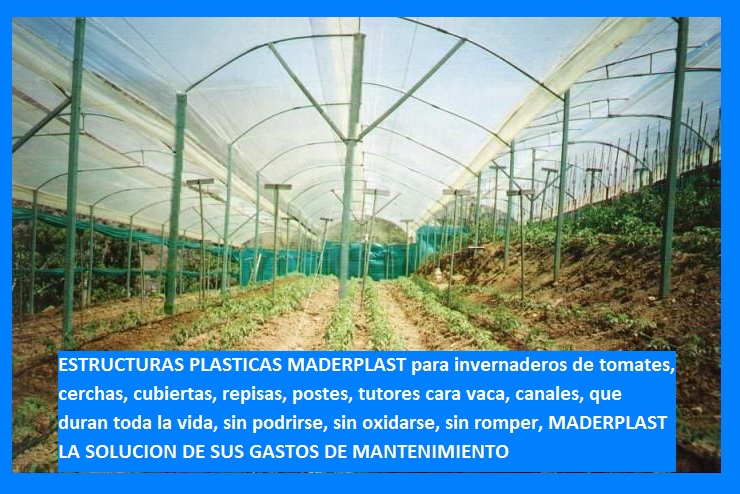 Invernadero para tomates en estructura de madera plástica maderplast invernadero en metal plástico invernadero de tomate vidrio plástico aluminio plástico invernadero de tomateras y tomates 002 Invernadero para tomates en estructura de madera plástica maderplast invernadero en metal plástico invernadero de tomate vidrio plástico aluminio plástico invernadero de tomateras y tomates 002 Invernadero para tomates en estructura de madera plástica maderplast invernadero en metal plástico invernadero de tomate vidrio plástico aluminio plástico invernadero de tomateras y tomates 002